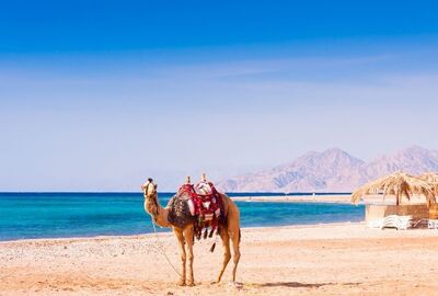 Baştan Başa Mısır - Pegasus HY ile 8 Gece 9 Gün (Dahab ve St. Catherine Dahil)